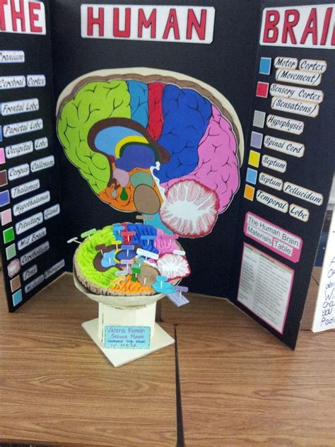 This middle-school science competition was created by the . . Psychology science projects high school